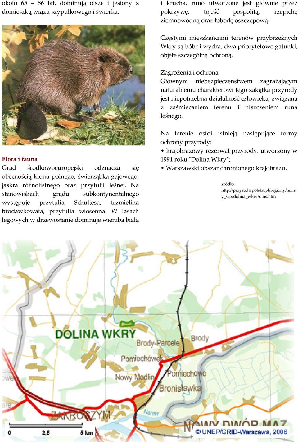 Zagrożenia i ochrona Głównym niebezpieczeństwem zagrażającym naturalnemu charakterowi tego zakątka przyrody jest niepotrzebna działalność człowieka, związana z zaśmiecaniem terenu i niszczeniem runa