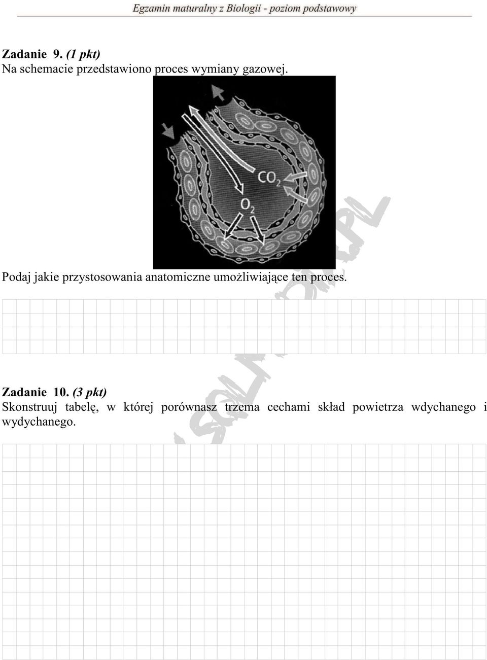 Podaj jakie przystosowania anatomiczne umożliwiające ten