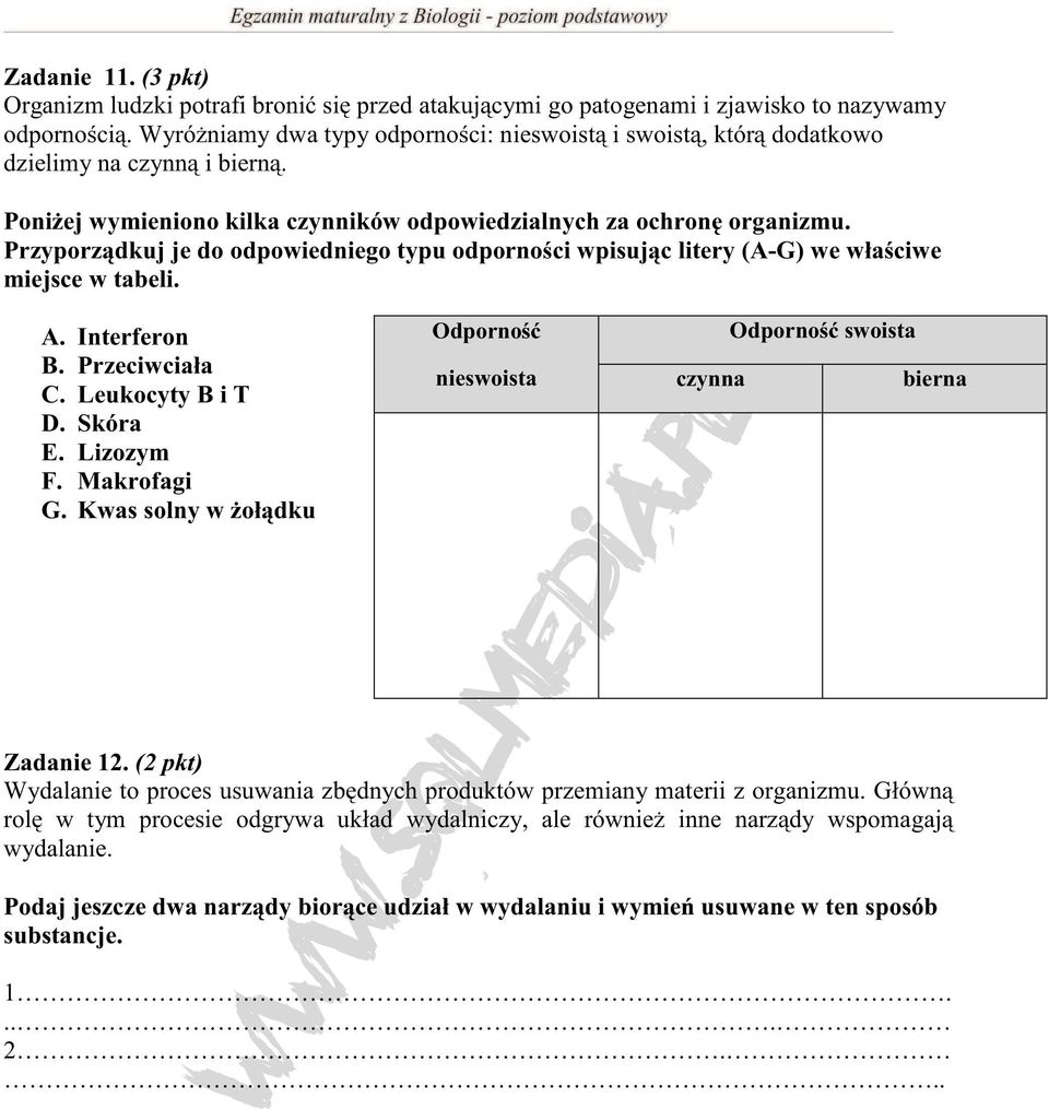 Przyporządkuj je do odpowiedniego typu odporności wpisując litery (A-G) we właściwe miejsce w tabeli. A. Interferon B. Przeciwciała C. Leukocyty B i T D. Skóra E. Lizozym F. Makrofagi G.