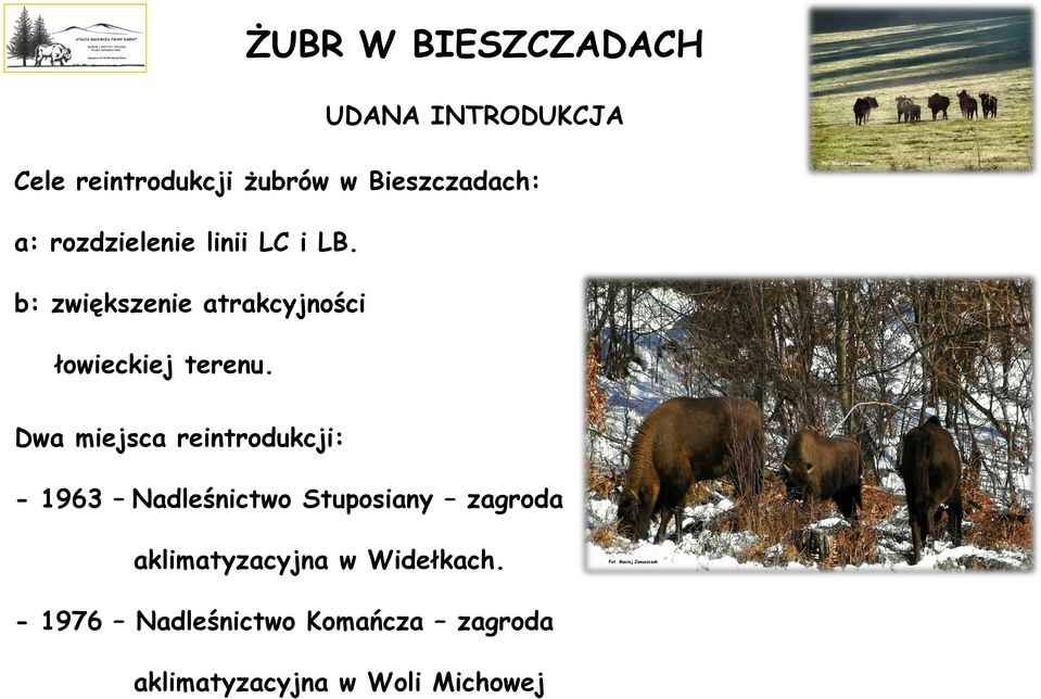 Dwa miejsca reintrodukcji: - 1963 Nadleśnictwo Stuposiany zagroda