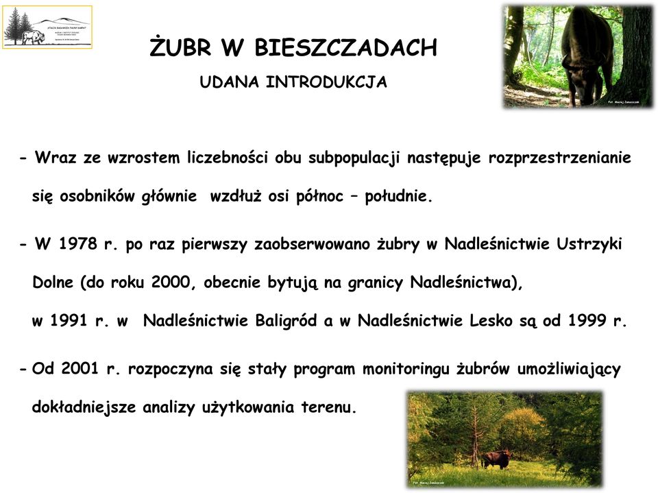 po raz pierwszy zaobserwowano żubry w Nadleśnictwie Ustrzyki Dolne (do roku 2000, obecnie bytują na granicy