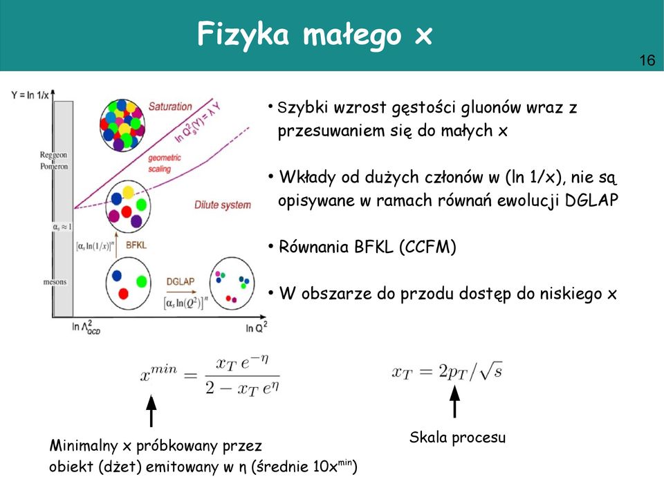 DGLAP Równania BFKL (CCFM) W obszarze do przodu dostęp do niskiego x Minimalny x