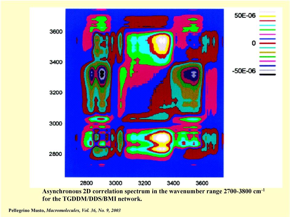 the TGDDM/DDS/BMI network.