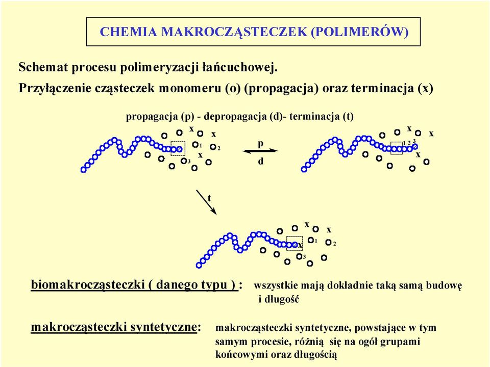 (t) x x 1 p 2 x 3 d x 1 2 3 x x t x x 3 1 x 2 biomakrocząsteczki ( danego typu ) : wszystkie mają dokładnie taką samą