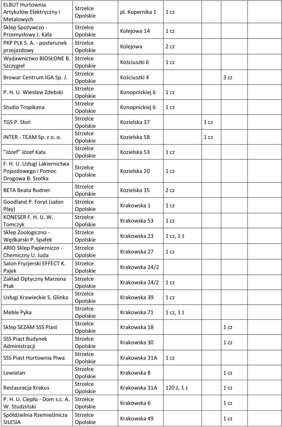 Foryś (salon Play) KONESER F. H. U. W. Tomczyk Sklep Zoologiczno - Wędkarski P. Spałek ARIO Sklep Papierniczo - Chemiczny U. Juda Salon Fryzjerski EFFECT K.