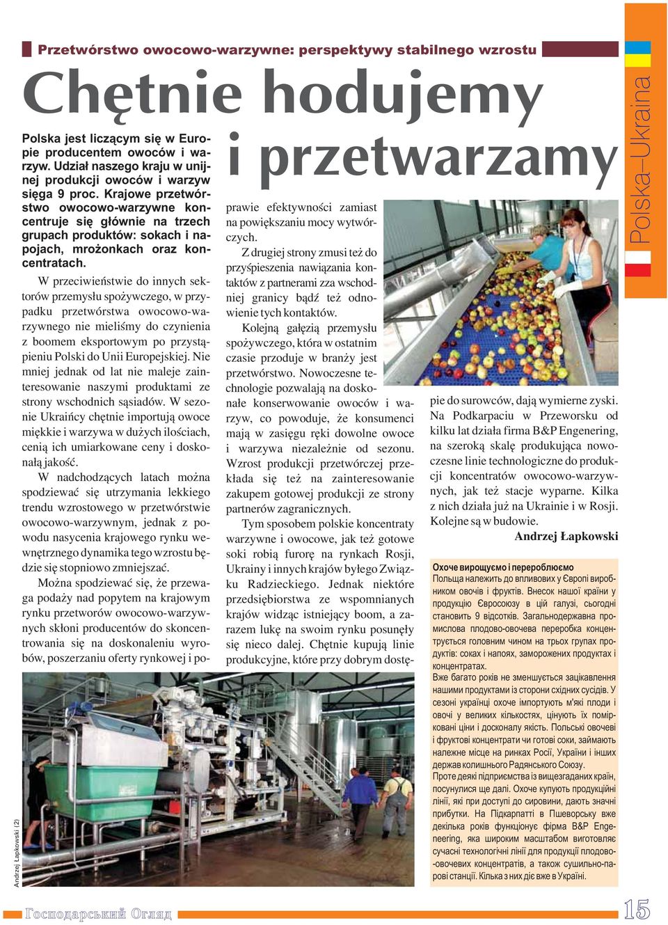 Krajowe przetwórstwo owocowo-warzywne koncentruje się głównie na trzech grupach produktów: sokach i napojach, mrożonkach oraz koncentratach.