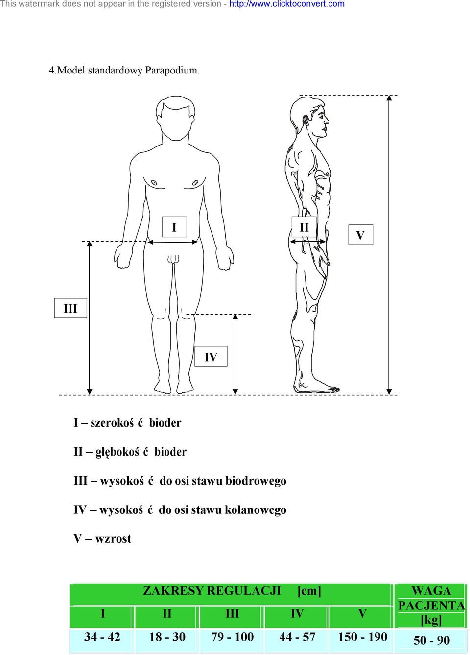 I II V III IV I szerokość bioder II głębokość bioder III wysokość do osi stawu