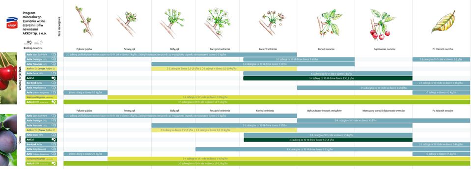 10-14 dni w dawce 3 kg/ha 3-4 zabiegi co 10-14 dni w dawce 1,5-1,8 l/ha Pękanie pąków Zielony pąk Biały pąk Początek kwitnienia Koniec kwitnienia Wykształcanie i wzrost zawiązków Intensywny wzrost i