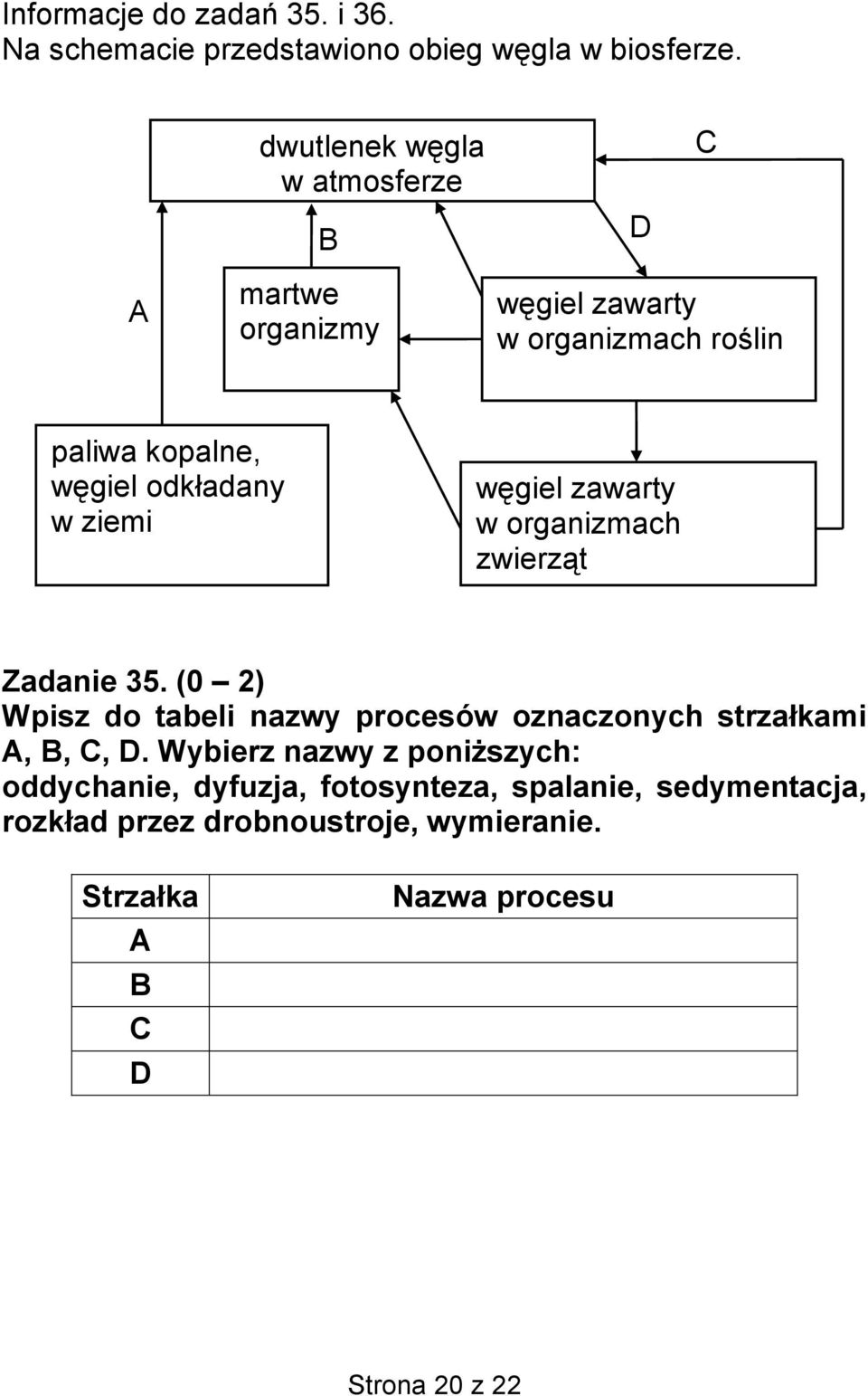 ziemi węgiel zawarty w organizmach zwierząt Zadanie 35. (0 2) Wpisz do tabeli nazwy procesów oznaczonych strzałkami A, B, C, D.