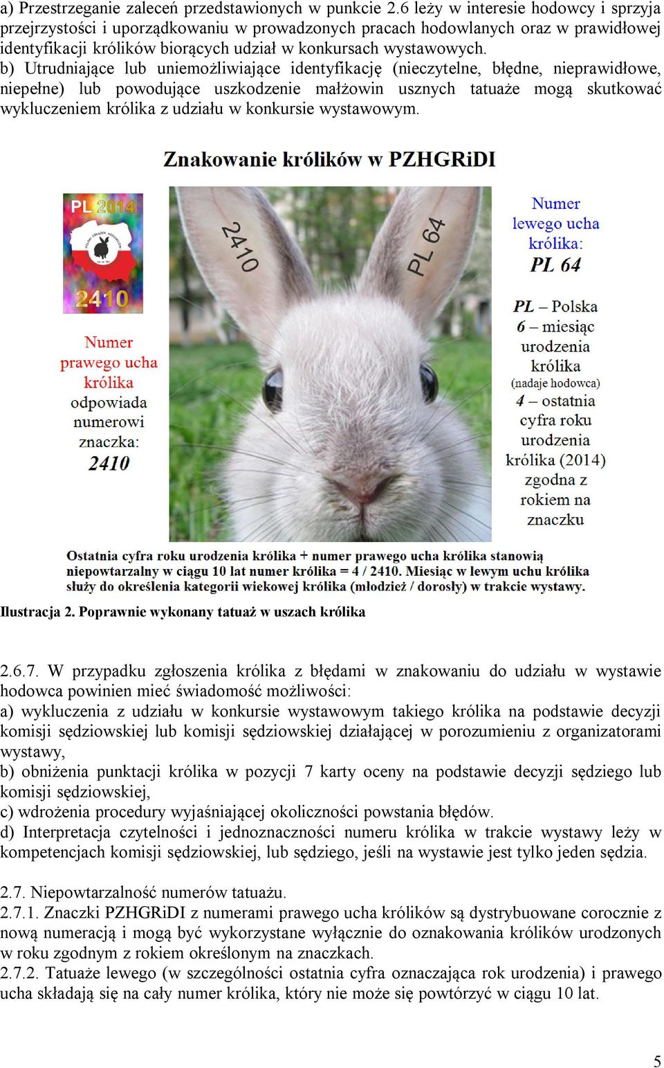 b) Utrudniające lub uniemożliwiające identyfikację (nieczytelne, błędne, nieprawidłowe, niepełne) lub powodujące uszkodzenie małżowin usznych tatuaże mogą skutkować wykluczeniem królika z udziału w