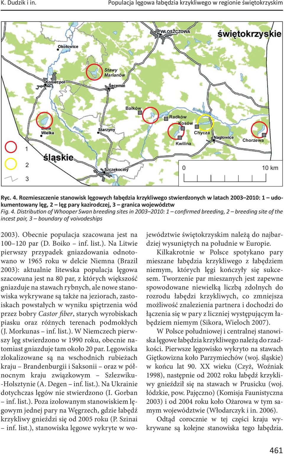 Distribu on of Whooper Swan breeding sites in 2003 2010: 1 confirmed breeding, 2 breeding site of the incest pair, 3 boundary of voivodeships 2003). Obecnie populacja szacowana jest na 100 120 par (D.