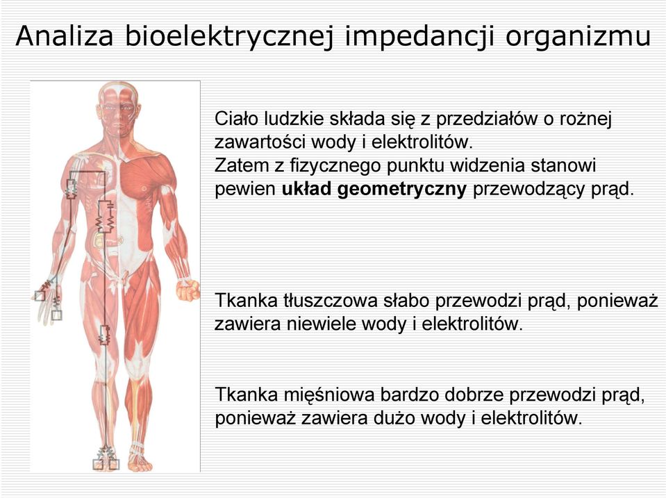 Zatem z fizycznego punktu widzenia stanowi pewien układ geometryczny przewodzący prąd.