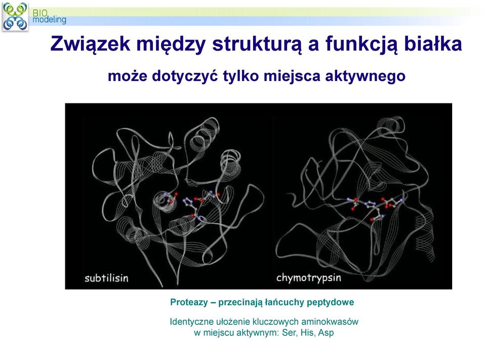 przecinają łańcuchy peptydowe Identyczne