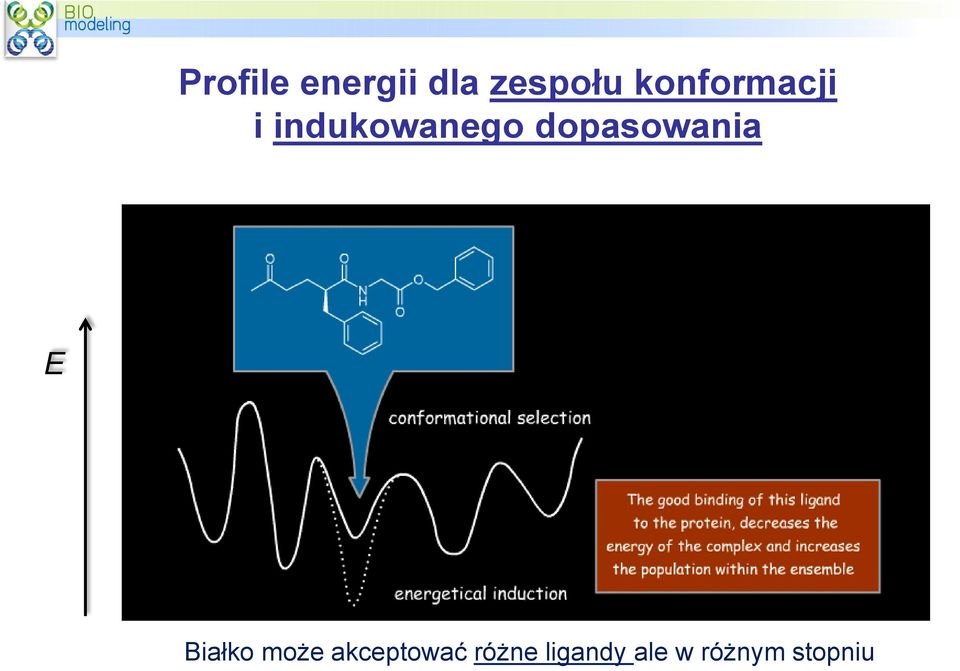 dopasowania E Białko może