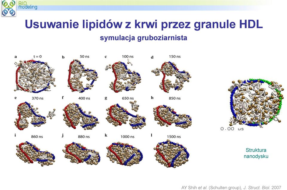 gruboziarnista Struktura nanodysku