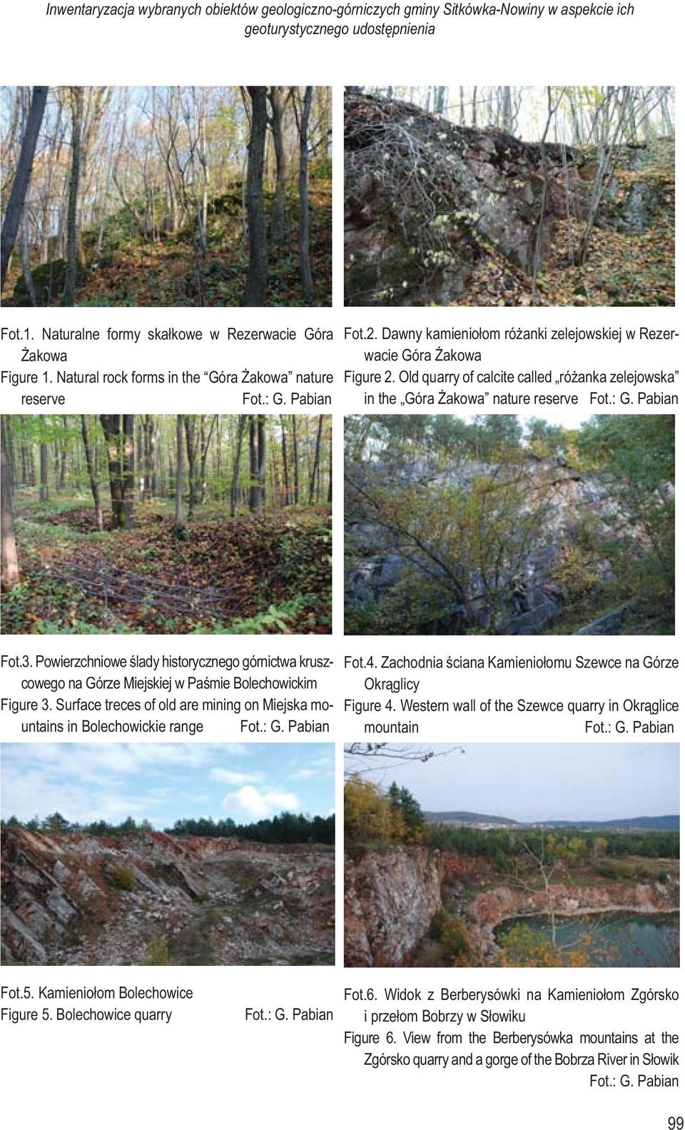 Old quarry of calcite called różanka zelejowska in the Góra Żakowa nature reserve Fot.3. Powierzchniowe ślady historycznego górnictwa kruszcowego na Górze Miejskiej w Paśmie Bolechowickim Figure 3.