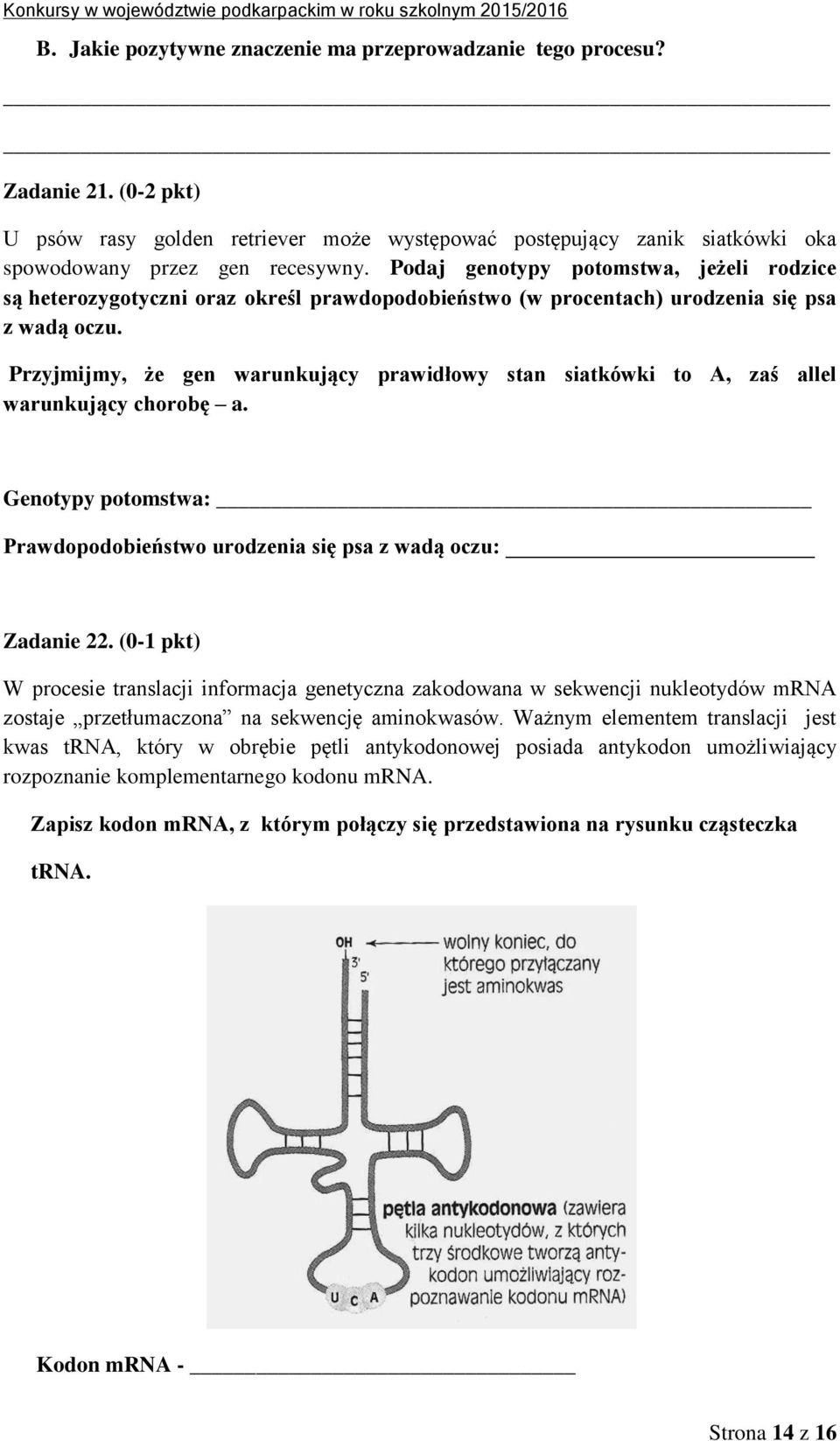 Przyjmijmy, że gen warunkujący prawidłowy stan siatkówki to A, zaś allel warunkujący chorobę a. Genotypy potomstwa: Prawdopodobieństwo urodzenia się psa z wadą oczu: Zadanie 22.