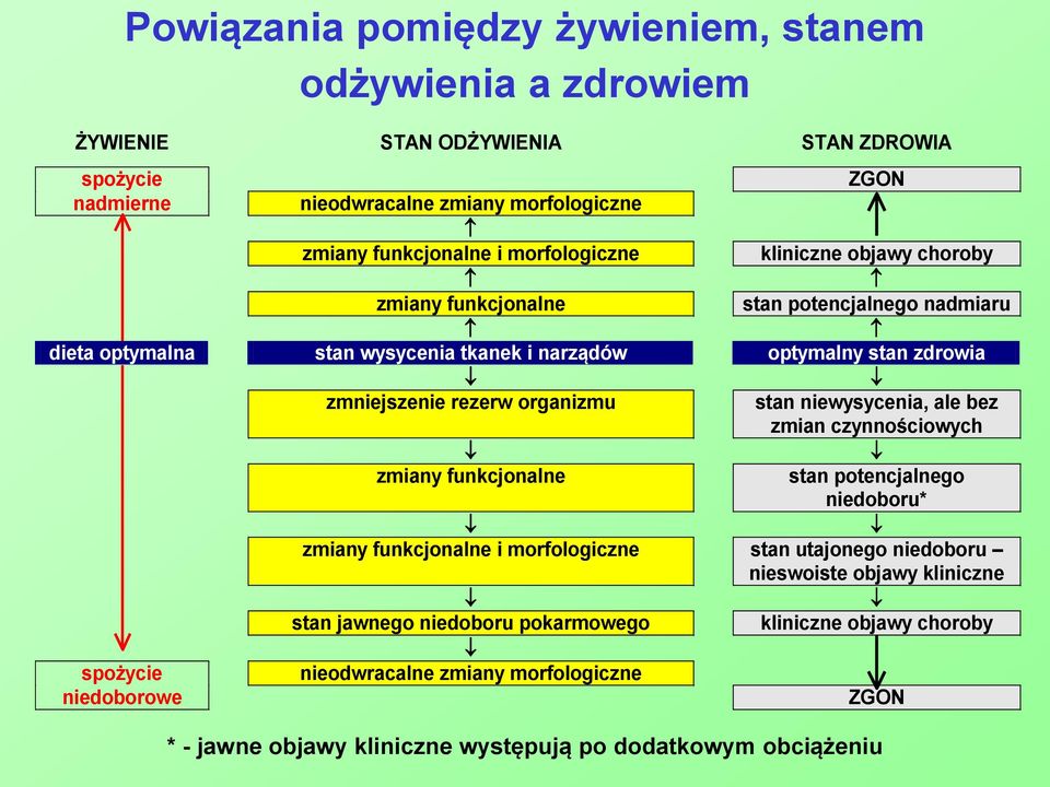 organizmu stan niewysycenia, ale bez zmian czynnościowych zmiany funkcjonalne stan potencjalnego niedoboru* zmiany funkcjonalne i morfologiczne stan utajonego niedoboru nieswoiste