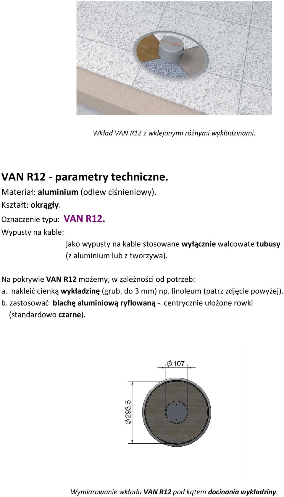 Na pokrywie VAN R12 możemy, w zależności od potrzeb: a. nakleić cienką wykładzinę (grub. do 3 mm) np. linoleum (patrz zdjęcie powyżej). b.