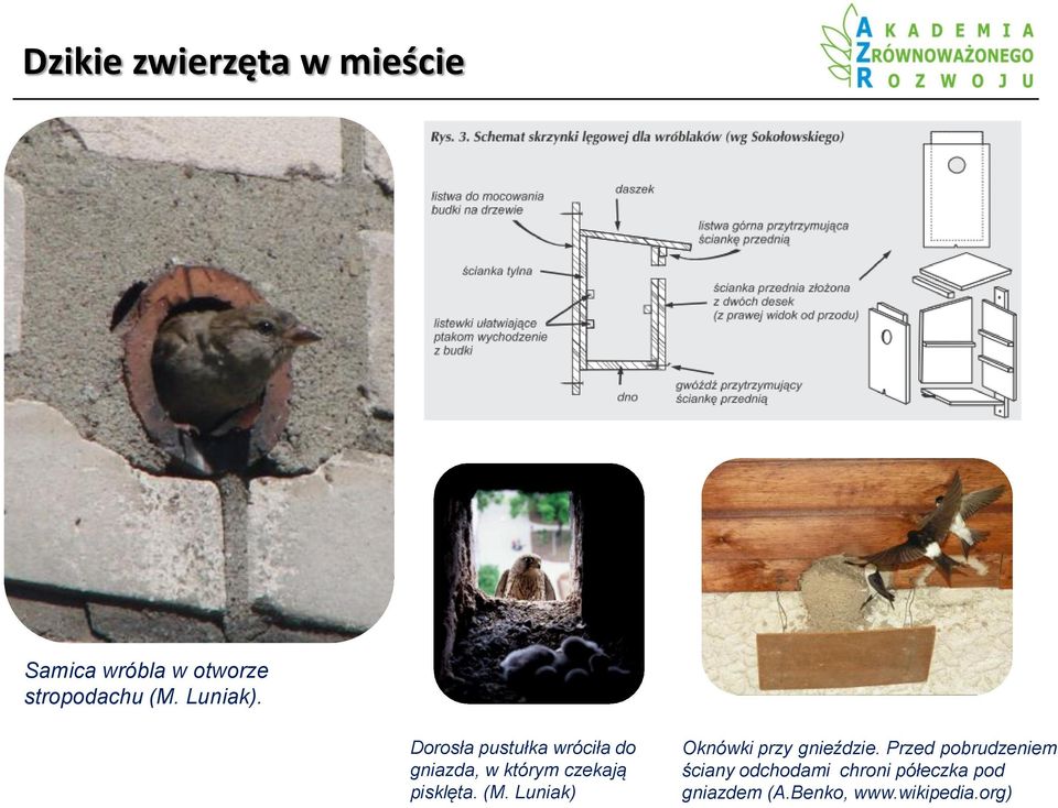 Przed pobrudzeniem Sfinansowano ze środków Narodowego gniazda, Funduszu w którym