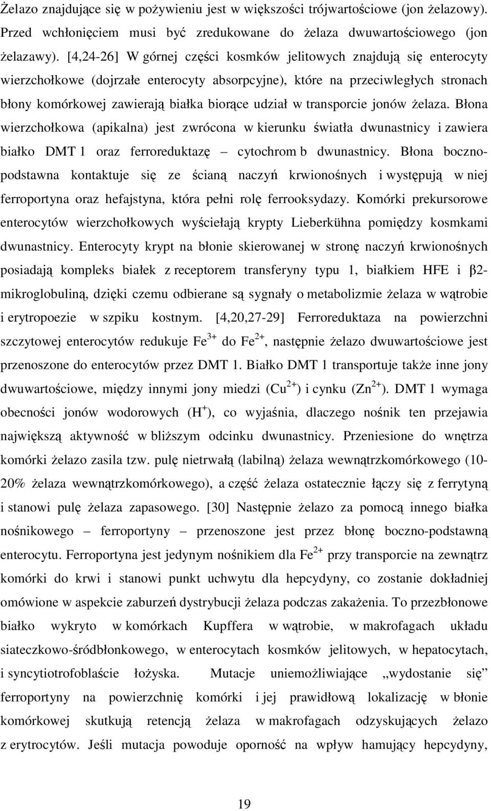 w transporcie jonów Ŝelaza. Błona wierzchołkowa (apikalna) jest zwrócona w kierunku światła dwunastnicy i zawiera białko DMT 1 oraz ferroreduktazę cytochrom b dwunastnicy.