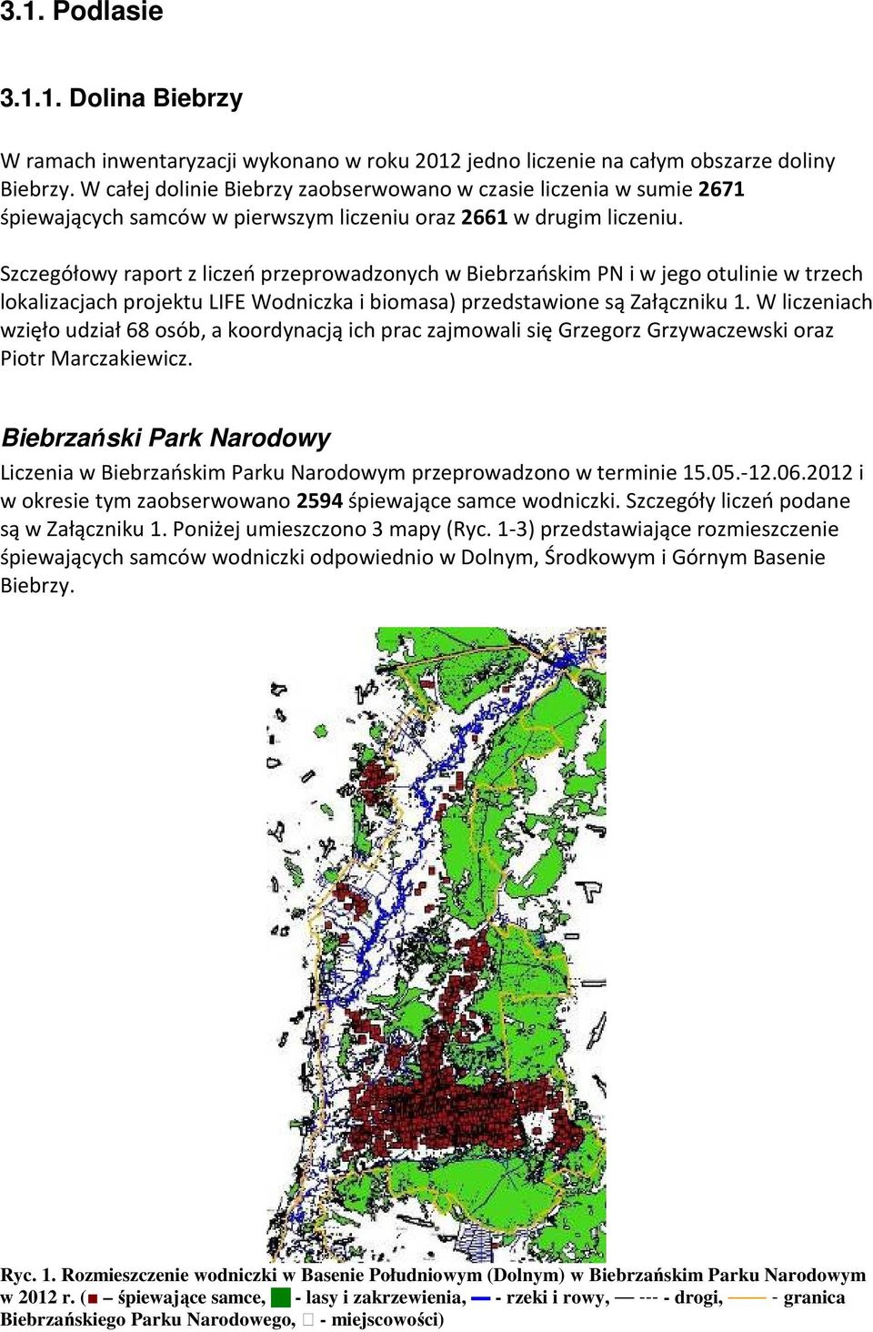 Szczegółowy raport z liczeń przeprowadzonych w Biebrzańskim PN i w jego otulinie w trzech lokalizacjach projektu LIFE Wodniczka i biomasa) przedstawione są Załączniku 1.
