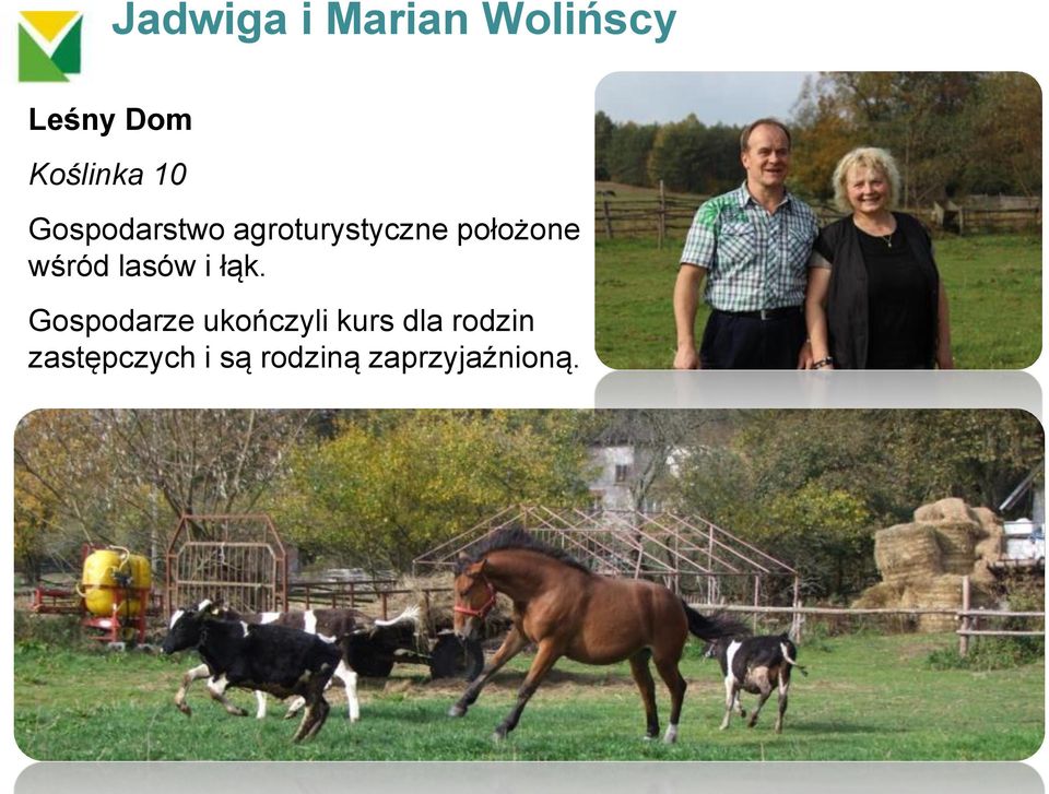 wśród lasów i łąk.