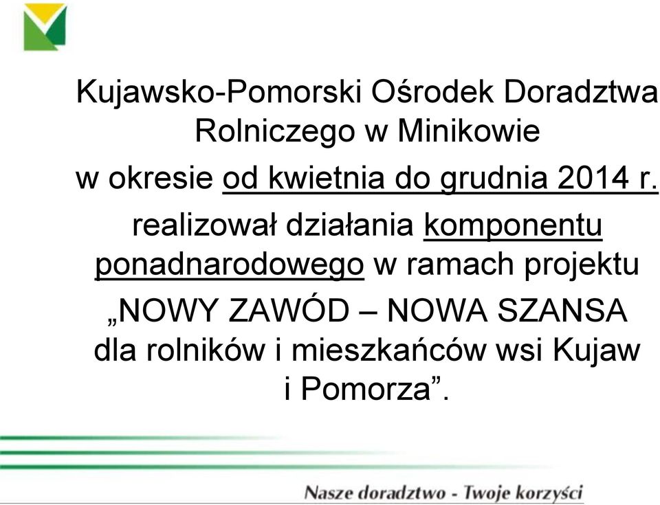 realizował działania komponentu ponadnarodowego w ramach