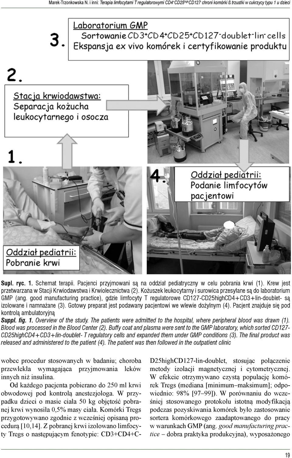 Kożuszek leukocytarny i surowica przesyłane są do laboratorium GMP (ang. good manufacturing practice), gdzie limfocyty T regulatorowe CD127-CD25highCD4+CD3+lin-doublet- są izolowane i namnażane (3).