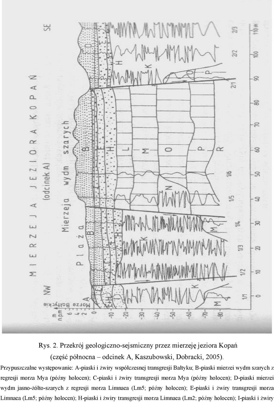 holocen); C-piaski i Ŝwiry transgresji morza Mya (późny holocen); D-piaski mierzei wydm jasno-ŝółto-szarych z regresji morza Limnaea (Lm5;