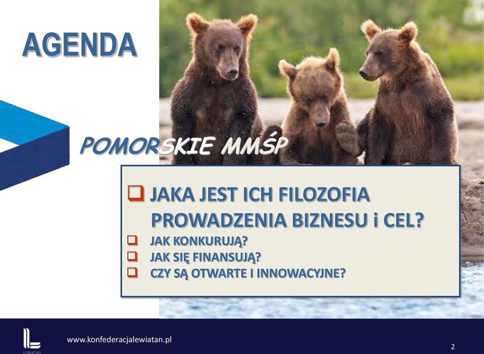 i CEL? JAK KONKURUJĄ?