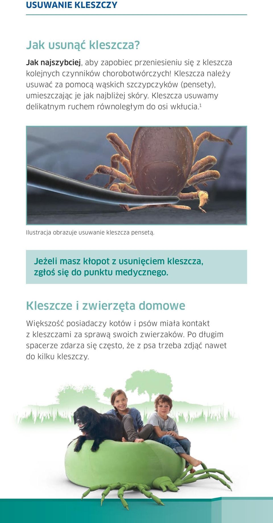 Kleszcza usuwamy delikatnym ruchem równoległym do osi wkłucia. 1 Ilustracja obrazuje usuwanie kleszcza pensetą.