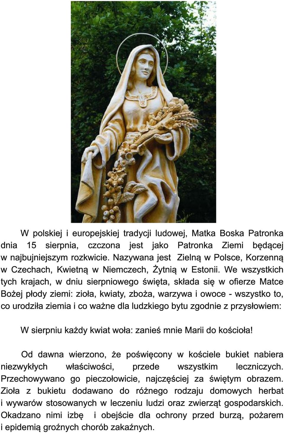 We wszystkich tych krajach, w dniu sierpniowego święta, składa się w ofierze Matce Bożej płody ziemi: zioła, kwiaty, zboża, warzywa i owoce - wszystko to, co urodziła ziemia i co ważne dla ludzkiego