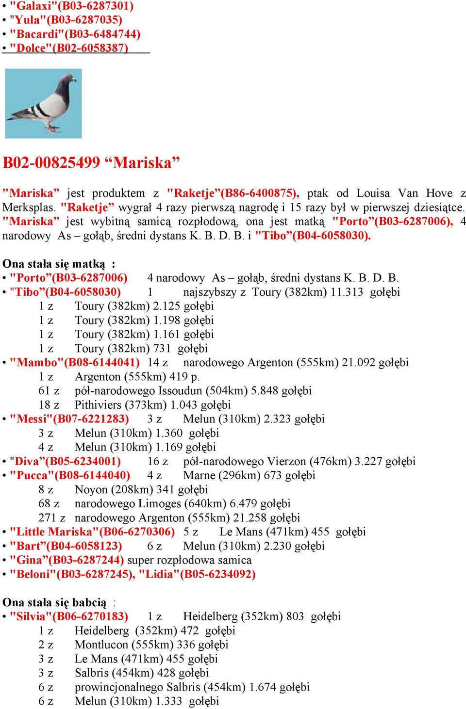 B. i "Tibo (B04-6058030). Ona stała się matką : "Porto (B03-6287006) 4 narodowy As gołąb, średni dystans K. B. D. B. "Tibo (B04-6058030) 1 najszybszy z Toury (382km) 11.313 gołębi 1z Toury (382km) 2.