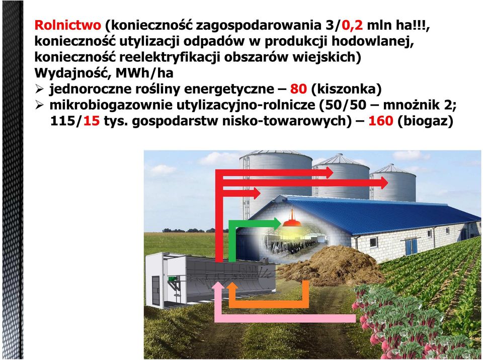 reelektryfikacji obszarów wiejskich) Wydajność, MWh/ha jednoroczne rośliny
