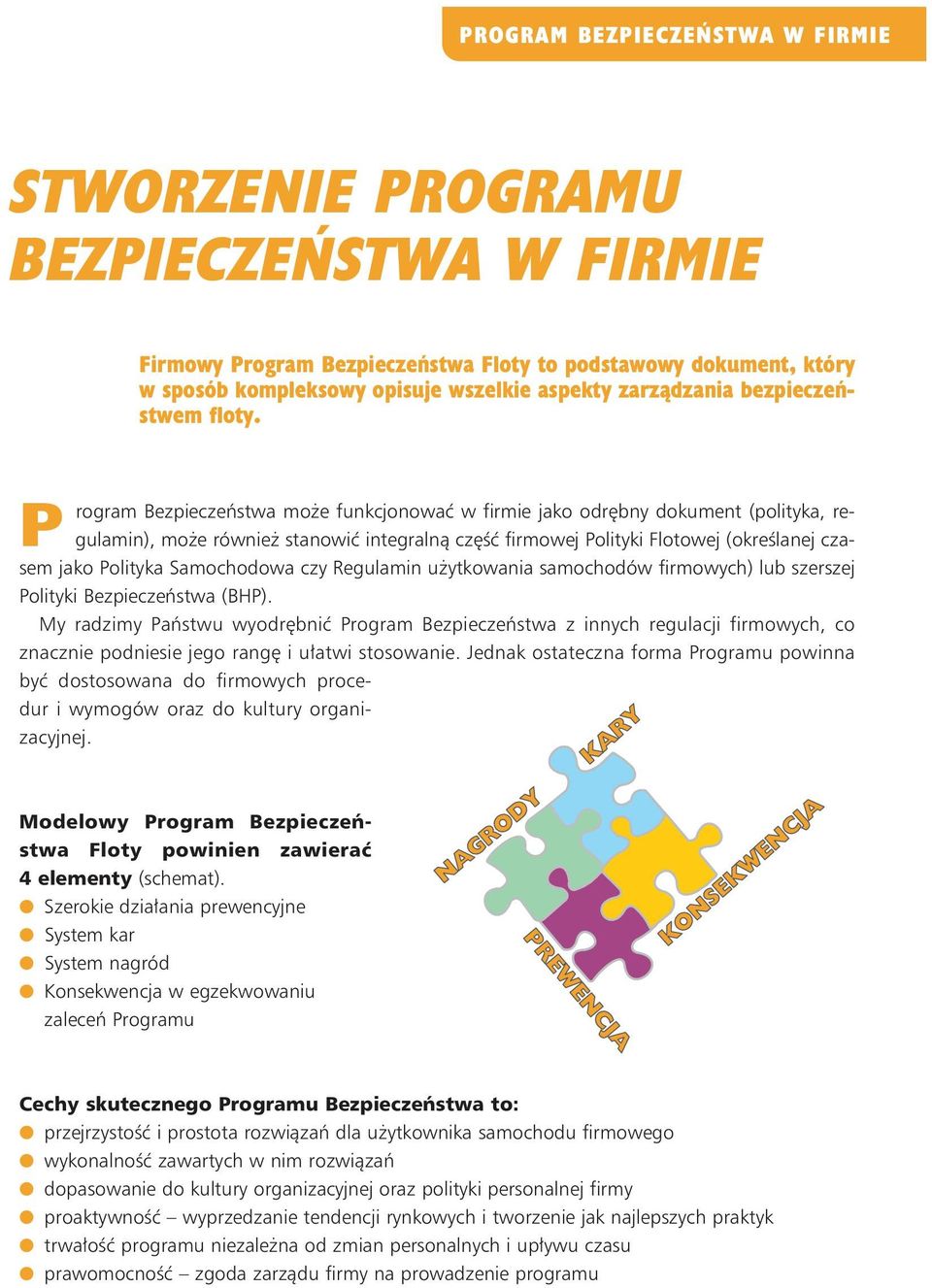 P rogram Bezpieczeństwa może funkcjonować w firmie jako odrębny dokument (polityka, regulamin), może również stanowić integralną część firmowej Polityki Flotowej (określanej czasem jako Polityka