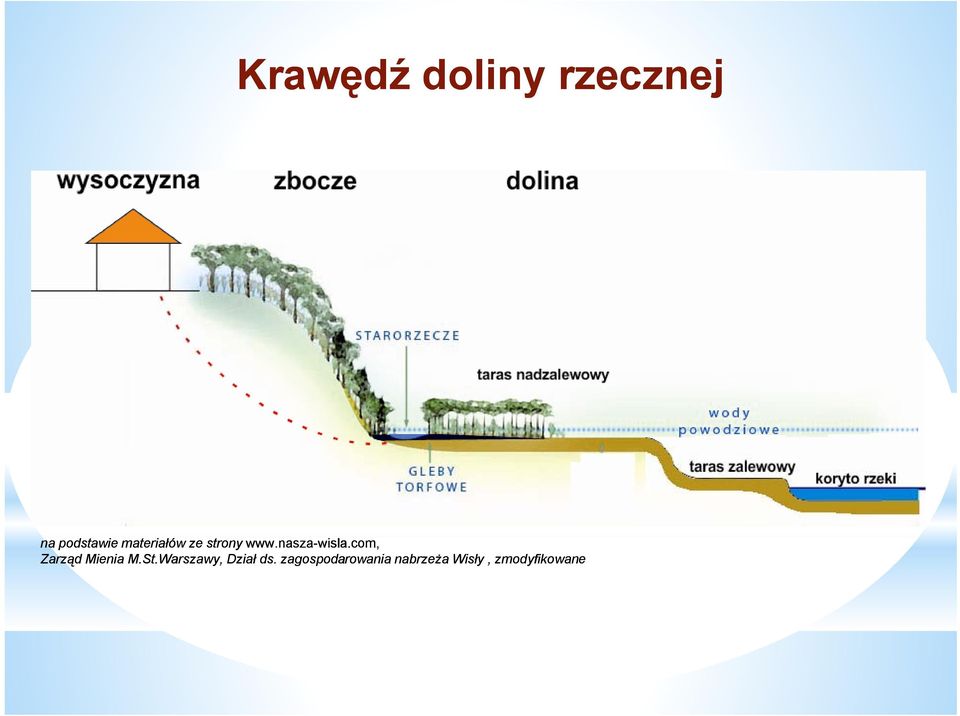 com, Zarząd Mienia M.St.