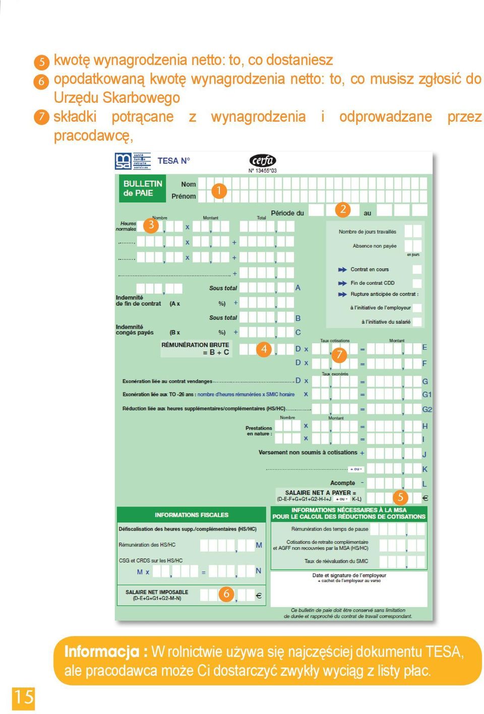 odprowadzane przez pracodawcę, 3 1 2 4 7 5 6 15 Informacja : W rolnictwie używa się