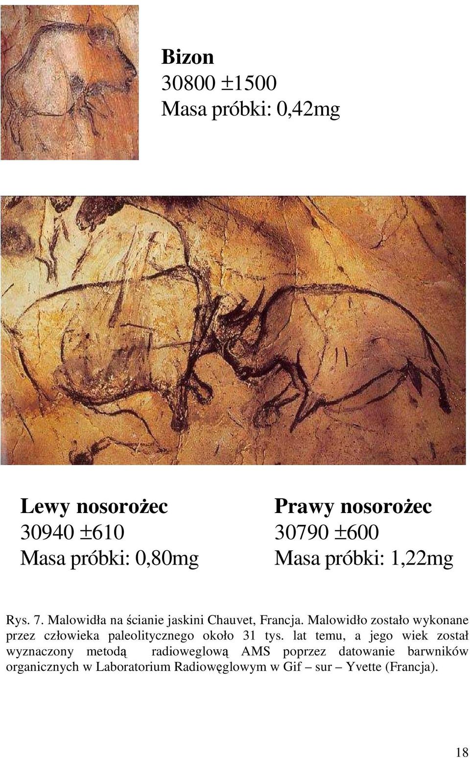 Malowidło zostało wykonane przez człowieka paleolitycznego około 31 tys.