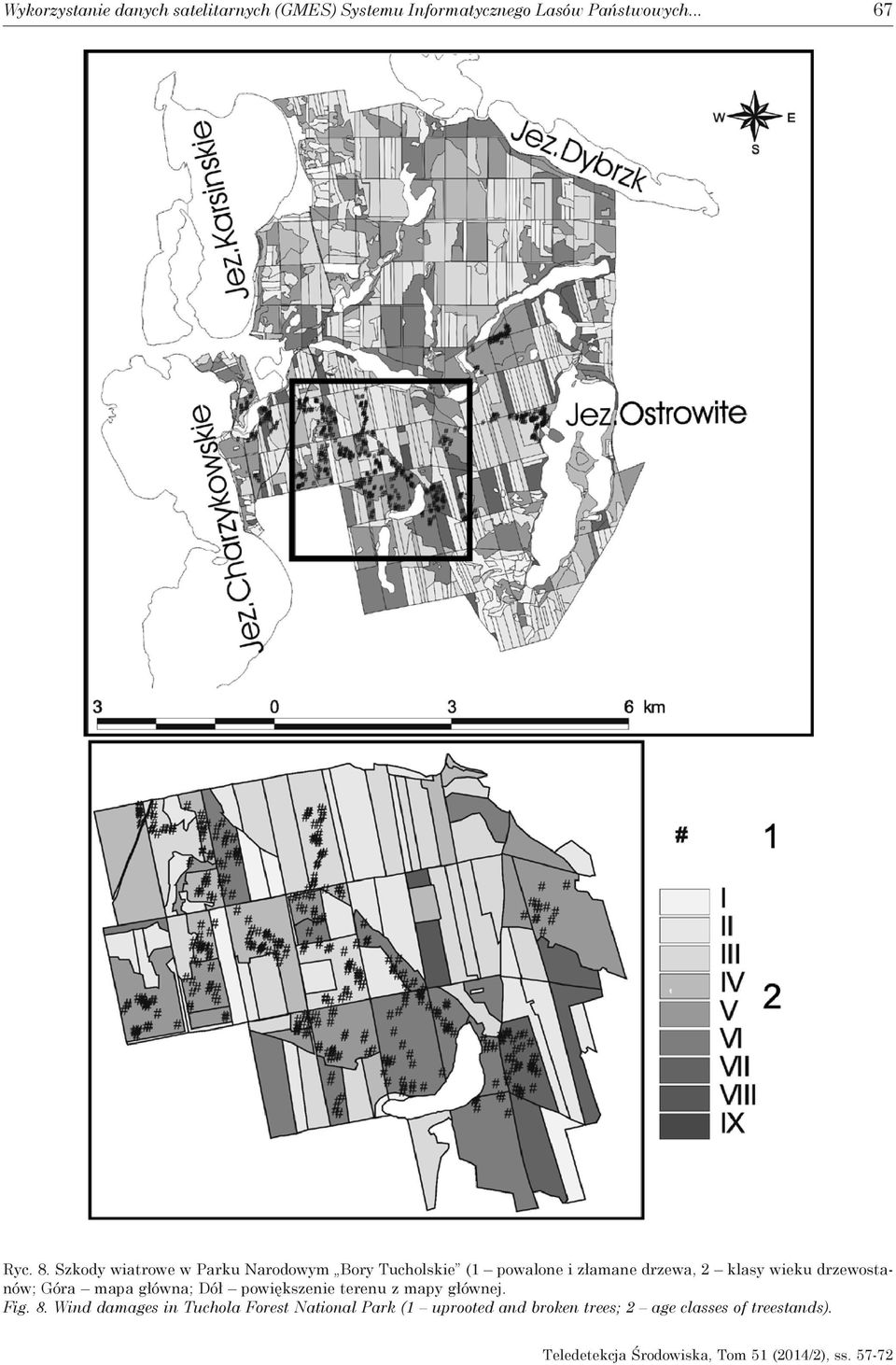 Szkody wiatrowe w Parku Narodowym Bory Tucholskie (1 powalone i złamane drzewa, 2 klasy wieku drzewostanów; Góra drzewa, mapa