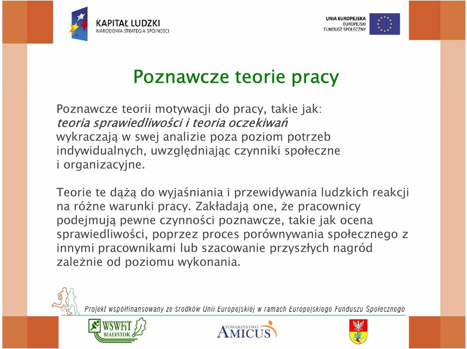 Teorie te dążą do wyjaśniania i przewidywania ludzkich reakcji na różne warunki pracy.