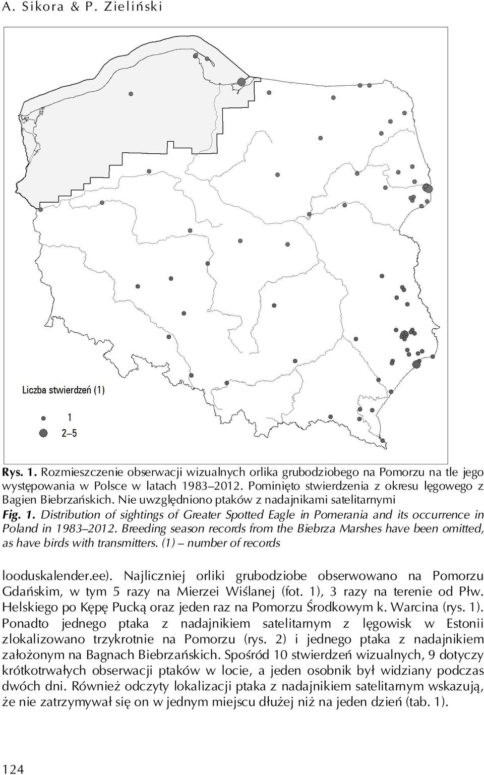 Distribution of sightings of Greater Spotted Eagle in Pomerania and its occurrence in Poland in 1983 2012.