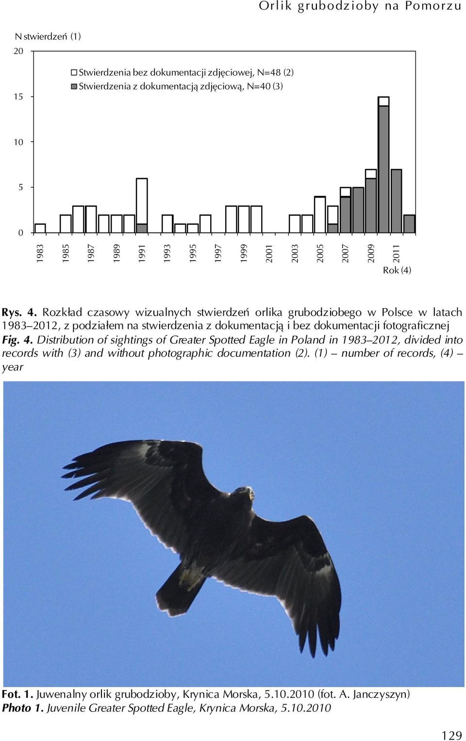 Rozkład czasowy wizualnych stwierdzeń orlika grubodziobego w Polsce w latach 1983 2012, z podziałem na stwierdzenia z dokumentacją i bez dokumentacji fotograficznej Fig. 4.
