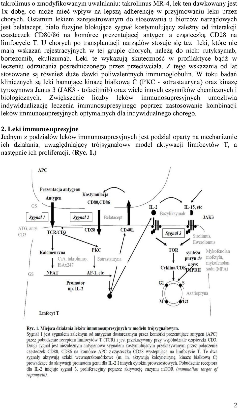 antygen a cząsteczką CD28 na limfocycie T.