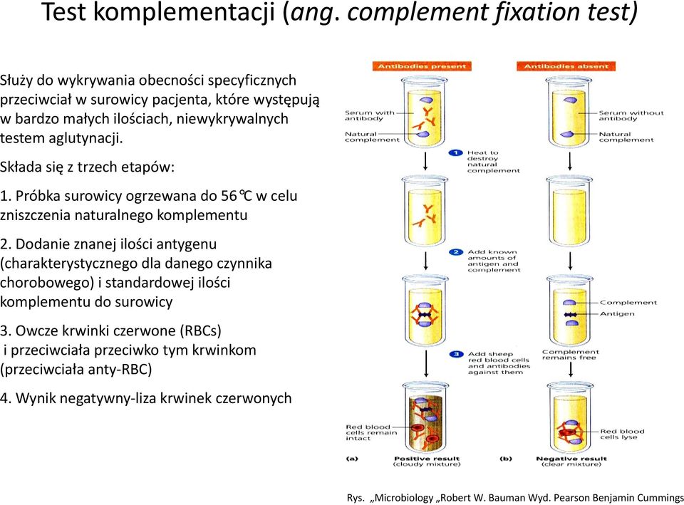 testem aglutynacji. Składa się z trzech etapów: 1. Próbka surowicy ogrzewana do 56 C w celu zniszczenia naturalnego komplementu 2.