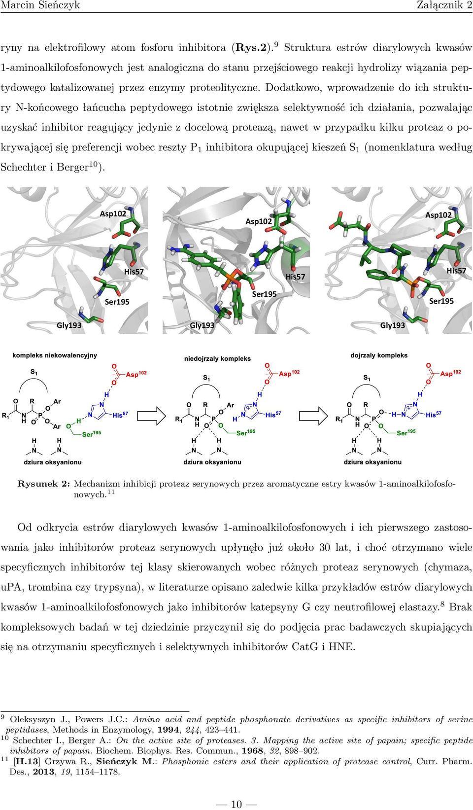 Dodatkowo, wprowadzenie do ich struktury -końcowego łańcucha peptydowego istotnie zwiększa selektywność ich działania, pozwalając uzyskać inhibitor reagujący jedynie z docelową proteazą, nawet w