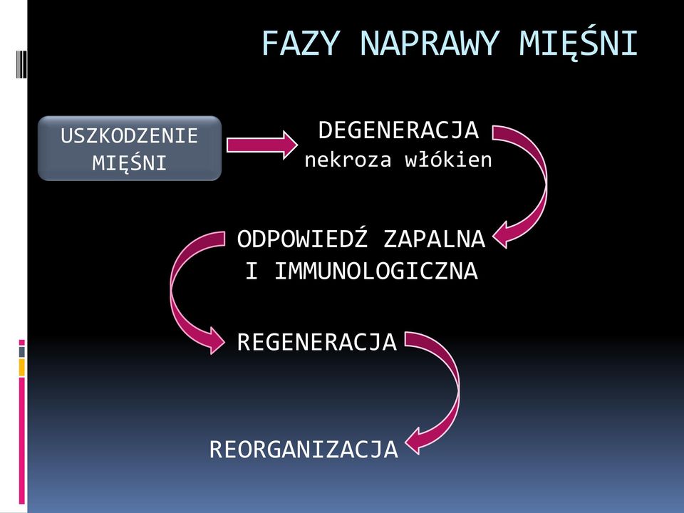 włókien ODPOWIEDŹ ZAPALNA I