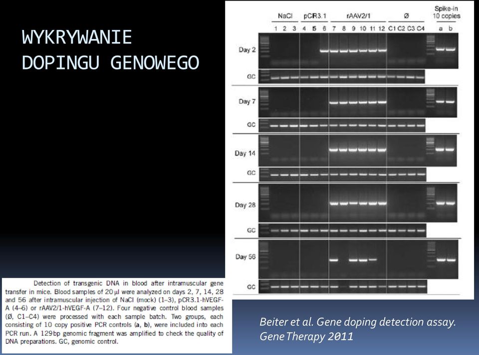 Gene doping detection