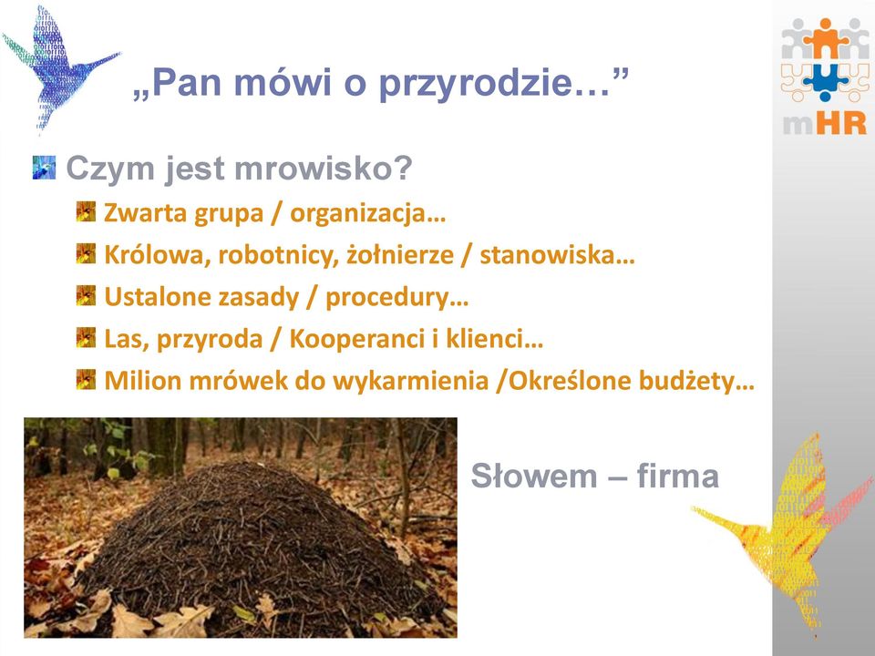 stanowiska Ustalone zasady / procedury Las, przyroda /