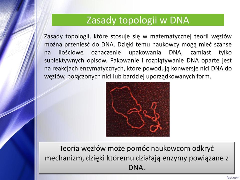 Pakowanie i rozplątywanie DNA oparte jest na reakcjach enzymatycznych, które powodują konwersje nici DNA do węzłów,